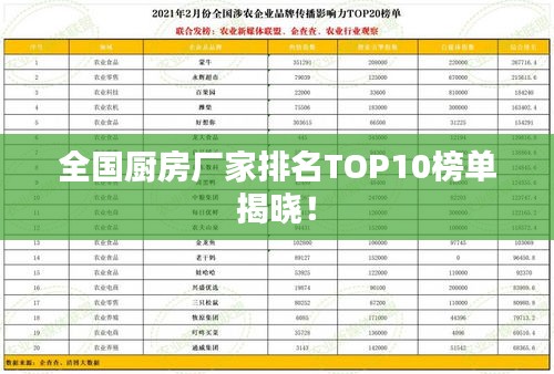 全國廚房廠家排名TOP10榜單揭曉!