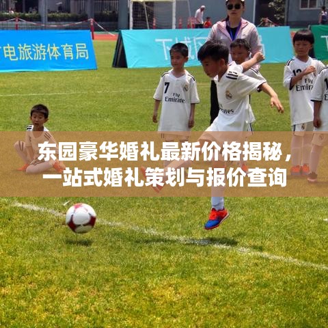 東園豪華婚禮最新價格揭秘,一站式婚禮策劃與報價查詢