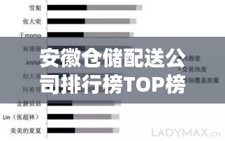 安徽倉儲配送公司排行榜TOP榜及行業影響力分析