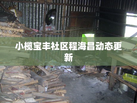 小欖寶豐社區程海昌動態更新