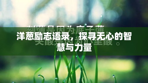 洋蔥勵志語錄，探尋無心的智慧與力量