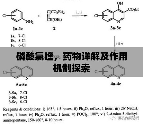 磷酸氯喹，藥物詳解及作用機(jī)制探索
