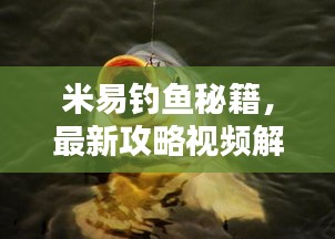 米易釣魚秘籍，最新攻略視頻解析，讓你輕松釣上大魚！