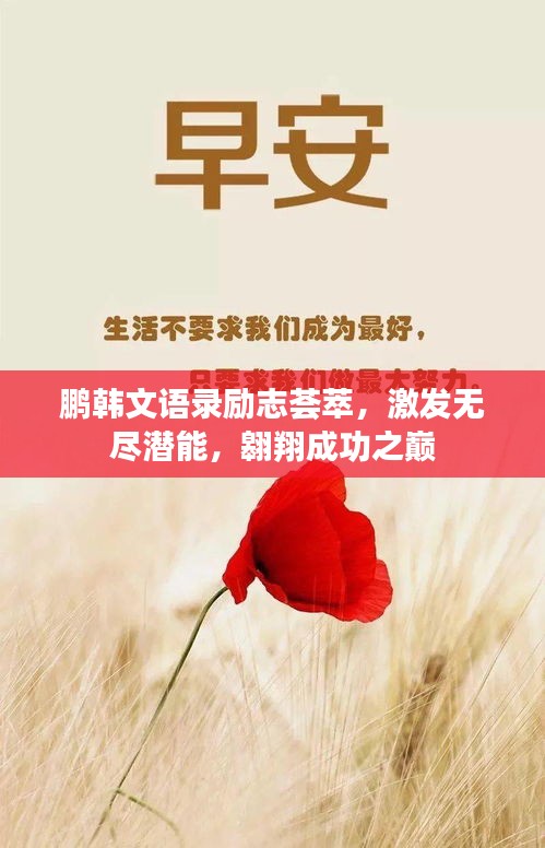 鵬韓文語(yǔ)錄勵(lì)志薈萃,激發(fā)無(wú)盡潛能,翱翔成功之巔