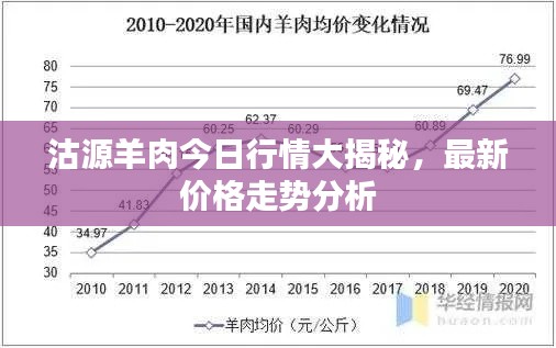 沽源羊肉今日行情大揭秘,最新價格走勢分析