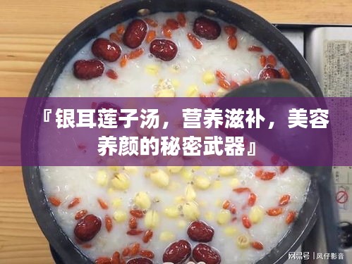 『銀耳蓮子湯,營(yíng)養(yǎng)滋補(bǔ),美容養(yǎng)顏的秘密武器』