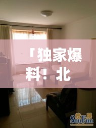 張皇鋪飾 第3頁(yè)