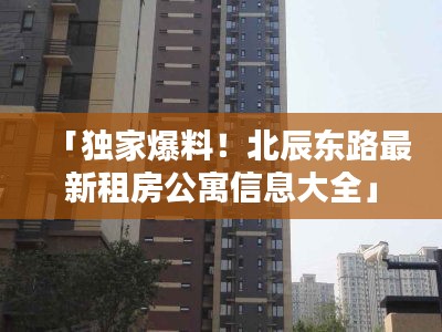 「獨家爆料!北辰東路最新租房公寓信息大全」