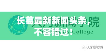 長葛最新新聞頭條，不容錯過！