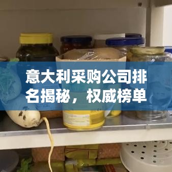 意大利采購公司排名揭秘,權威榜單揭曉頂級企業榜單