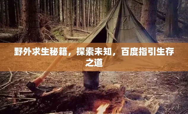野外求生秘籍，探索未知，百度指引生存之道