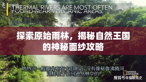探索原始雨林,揭秘自然王國的神秘面紗攻略