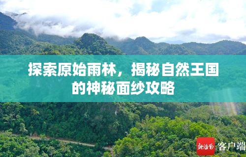 探索原始雨林,揭秘自然王國的神秘面紗攻略