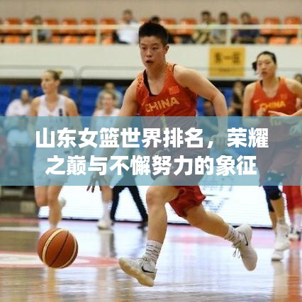 山東女籃世界排名,榮耀之巔與不懈努力的象征