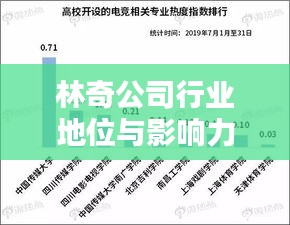 林奇公司行業地位與影響力解析,揭秘其在行業中的排名及深遠影響
