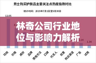 林奇公司行業(yè)地位與影響力解析,揭秘其在行業(yè)中的排名及深遠影響