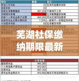 蕪湖社保繳納期限最新規定解讀,你需要知道的最新繳納期限!