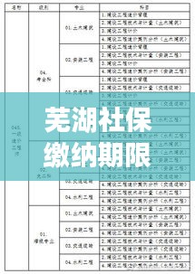 蕪湖社保繳納期限最新規定解讀,你需要知道的最新繳納期限!