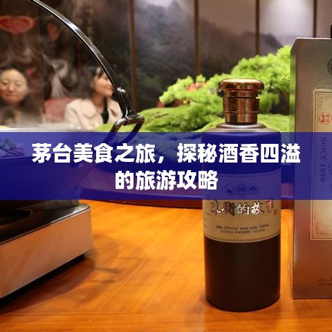 茅臺美食之旅,探秘酒香四溢的旅游攻略