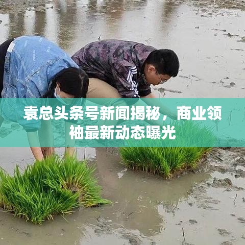 袁總頭條號新聞揭秘,商業領袖最新動態曝光