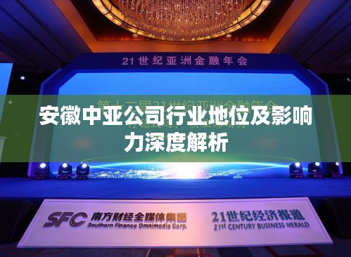 安徽中亞公司行業地位及影響力深度解析
