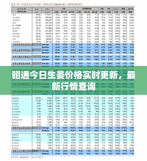 昭通今日生姜價(jià)格實(shí)時(shí)更新，最新行情查詢