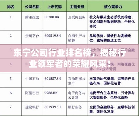 東寧公司行業排名榜,揭秘行業領軍者的榮耀風采!