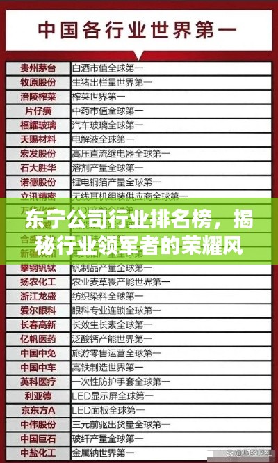 東寧公司行業排名榜,揭秘行業領軍者的榮耀風采!