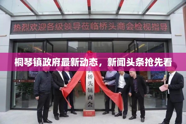 桐琴鎮政府最新動態,新聞頭條搶先看