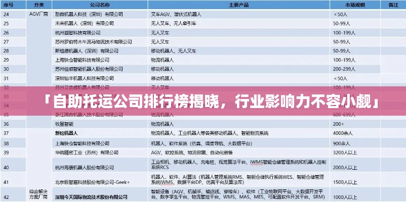 「自助托運公司排行榜揭曉,行業影響力不容小覷」