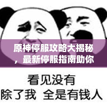 原神停服攻略大揭秘,最新停服指南助你無憂備戰(zhàn)新版本!