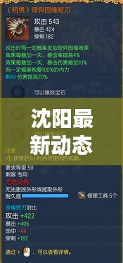 沈陽最新動態更新速遞