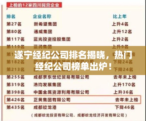 遂寧經紀公司排名揭曉,熱門經紀公司榜單出爐!