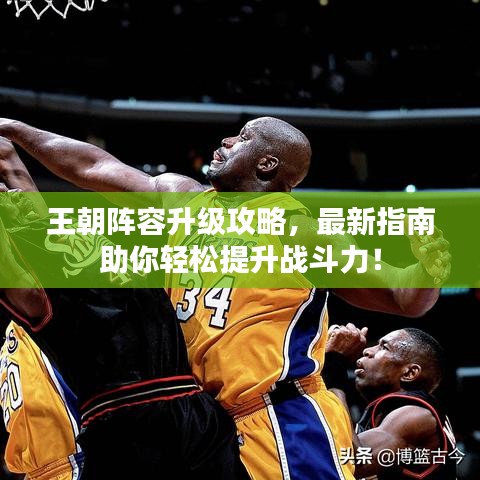 王朝陣容升級攻略,最新指南助你輕松提升戰斗力!