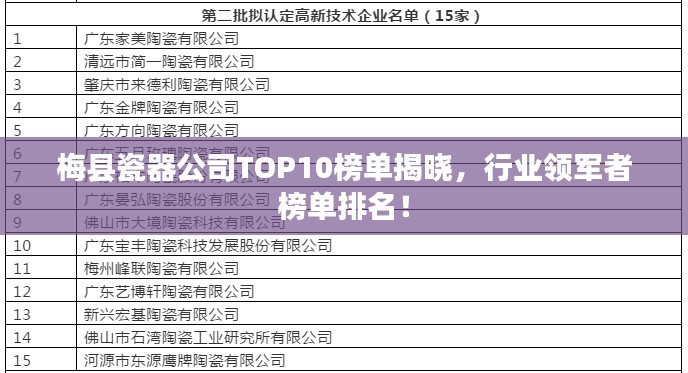 梅縣瓷器公司TOP10榜單揭曉,行業領軍者榜單排名!