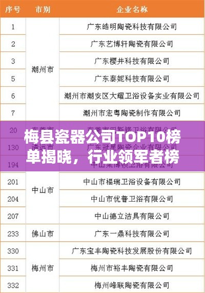 梅縣瓷器公司TOP10榜單揭曉,行業領軍者榜單排名!