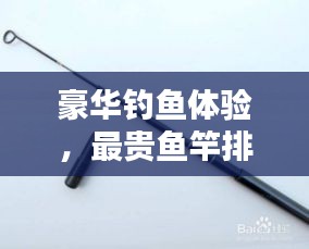 豪華釣魚體驗，最貴魚竿排行榜前十名揭曉
