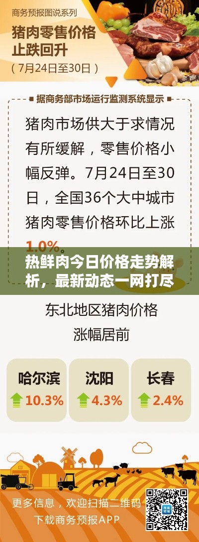熱鮮肉今日價格走勢解析,最新動態(tài)一網(wǎng)打盡!