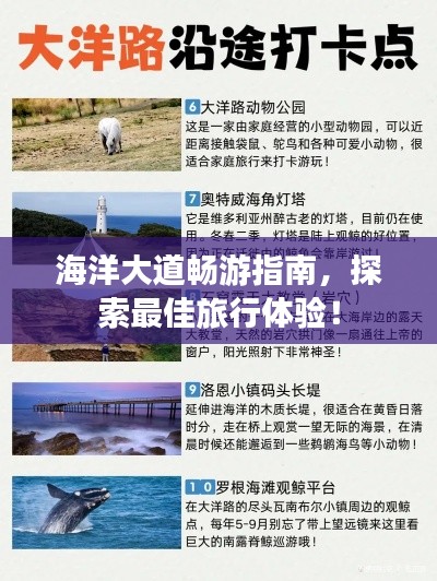 海洋大道暢游指南,探索最佳旅行體驗!