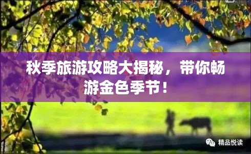 秋季旅游攻略大揭秘,帶你暢游金色季節(jié)!