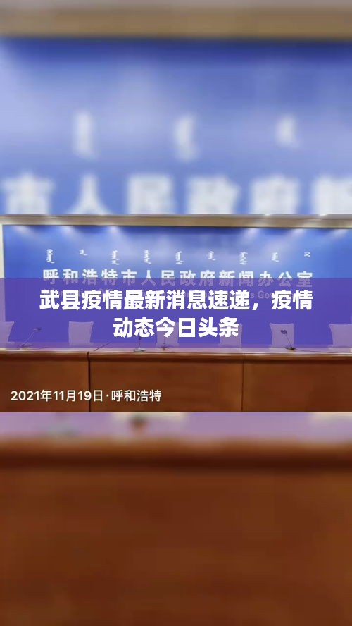 武縣疫情最新消息速遞,疫情動態今日頭條