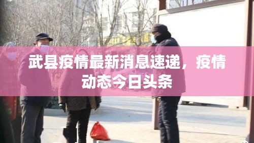 武縣疫情最新消息速遞,疫情動態今日頭條