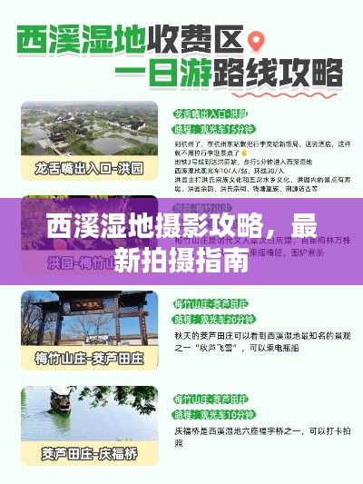 西溪濕地攝影攻略,最新拍攝指南