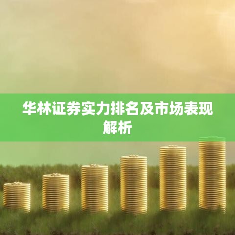 華林證券實力排名及市場表現解析