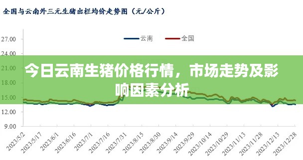 今日云南生豬價格行情，市場走勢及影響因素分析