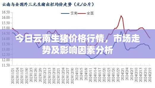 今日云南生豬價格行情,市場走勢及影響因素分析
