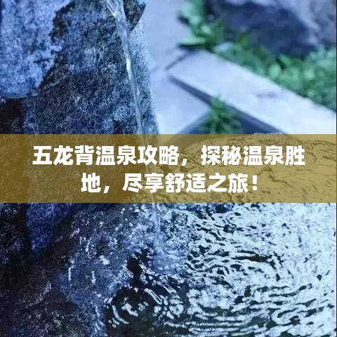 五龍背溫泉攻略,探秘溫泉勝地,盡享舒適之旅!