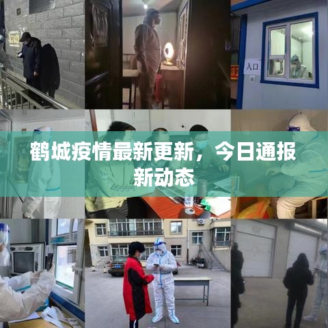 鶴城疫情最新更新,今日通報(bào)新動(dòng)態(tài)