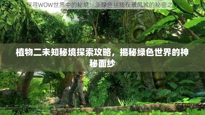 植物二未知秘境探索攻略,揭秘綠色世界的神秘面紗