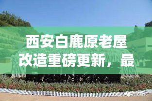 西安白鹿原老屋改造重磅更新,最新動(dòng)態(tài)揭秘